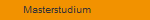Masterstudium